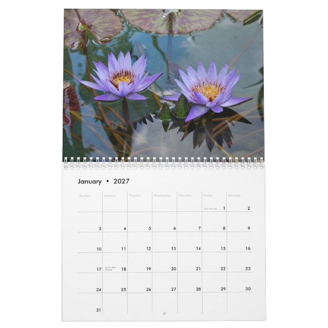 Calendário Natureza 2013 (Jan 2027)