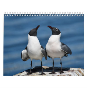 Calendário Natureza 2026