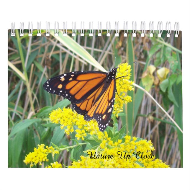 Calendário Natureza Aproximada (Capa)