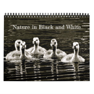 Calendário Natureza em preto e branco