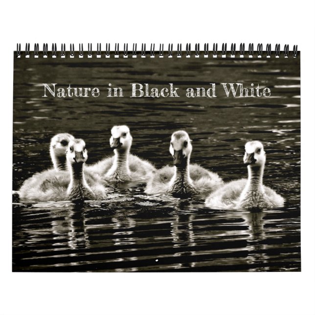 Calendário Natureza em preto e branco (Capa)