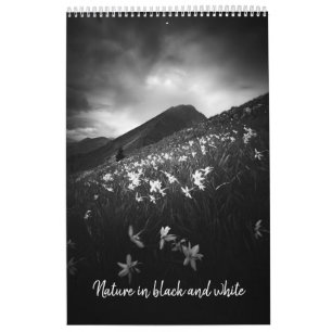 Calendário Natureza em preto e branco v1 foto