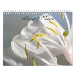 Calendário Natureza Pacífica