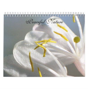 Calendário Natureza Pacífica