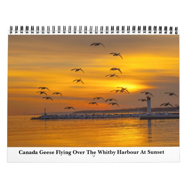 Calendário Natureza Para 2023 (Capa)