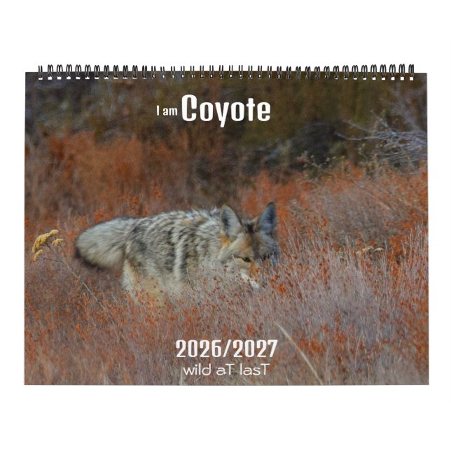 Calendário New! 'I am Coyote' 2026/2027 calendar (Capa)