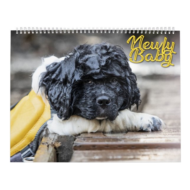 Calendário Newfy Baby (Capa)