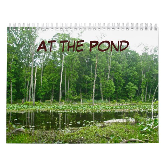 Calendário - No Pond (Capa)