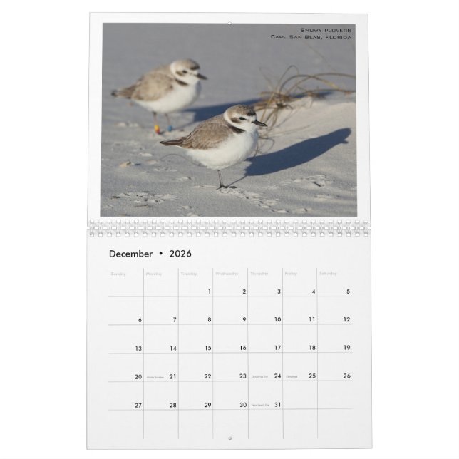 Calendário North American Birds por Emily Willoughby (Dez 2026)