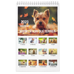 Calendário Norwich Norfolk Terrier 2023
