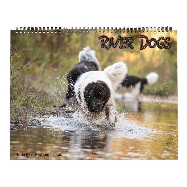 Calendário Notta Bear Newfoundlands River Dogs (Capa)