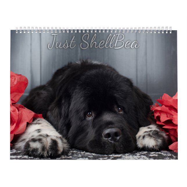 Calendário Notta Bear Newfoundlands ShellBea (Capa)