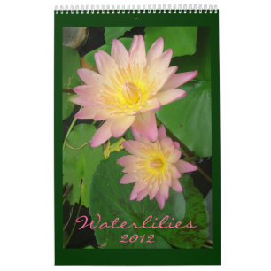 Calendário Núfares 2012, Página Única