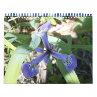 Calendário NY através de fotos