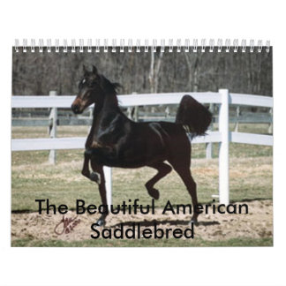 Calendário O americano bonito Saddlebred