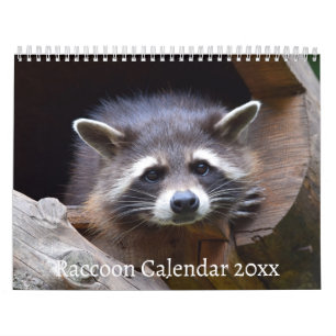 Calendário O Animal da Floresta Raccoon