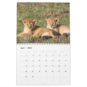 Calendário O animal Pets o destino do destino do amor dos