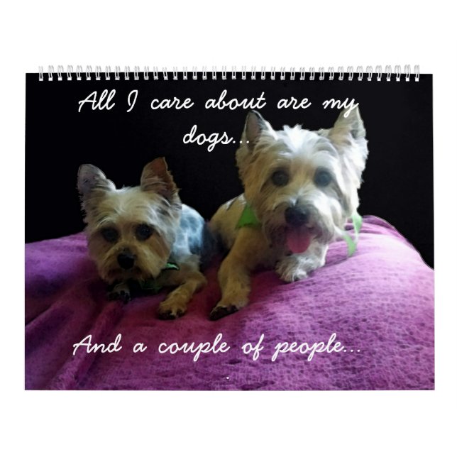 Calendário O Ano Com Moose E Barney (Capa)