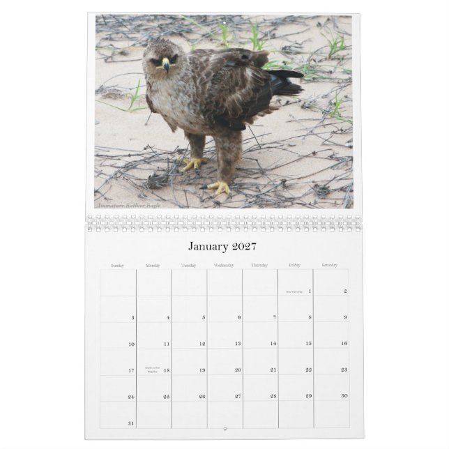 Calendário O Birdlife africano Calendar (Jan 2027)