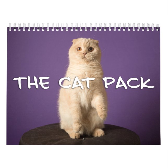 Calendário O bloco do gato (Capa)