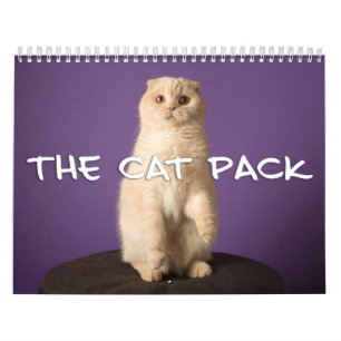 Calendário O bloco do gato