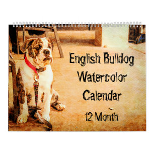 Calendário O buldogue inglês Bull britânica de 12 meses