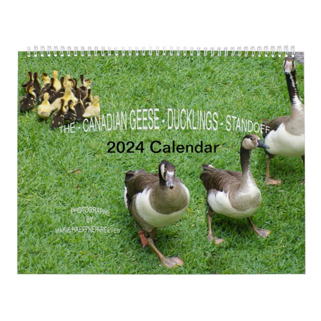 CALENDÁRIO O *CANADIANO GEESE* - *ESQUEMA* 2024 (Capa)