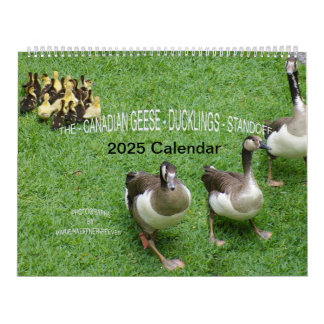CALENDÁRIO O *CANADIANO GEESE* - *ESQUEMA* 2025