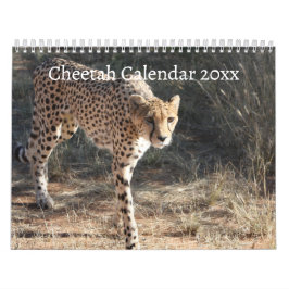 Calendário O Chita (Acinonyx Jubatus)