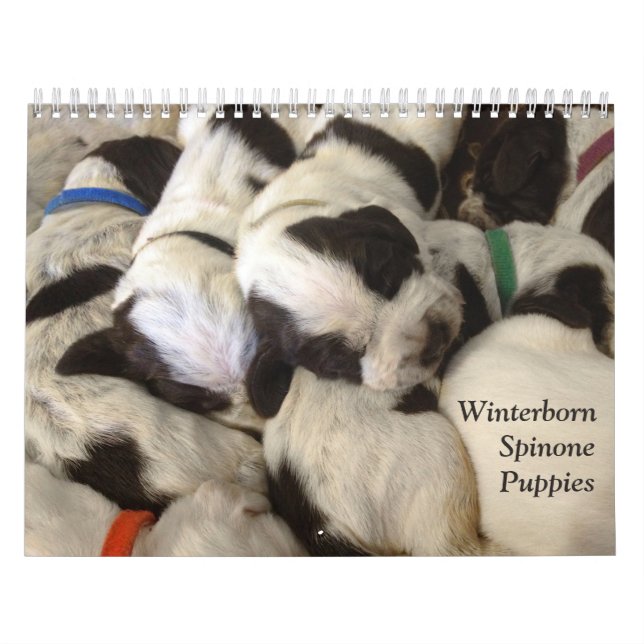 Calendário O ~ de Winterborn Spinone revisou o MED do (Capa)