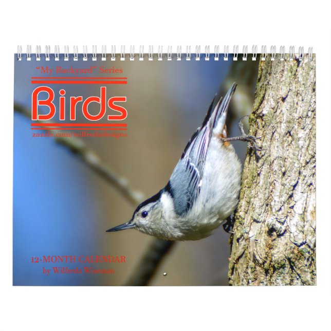 Calendário ó dos pássaros do quintal em série (Capa)