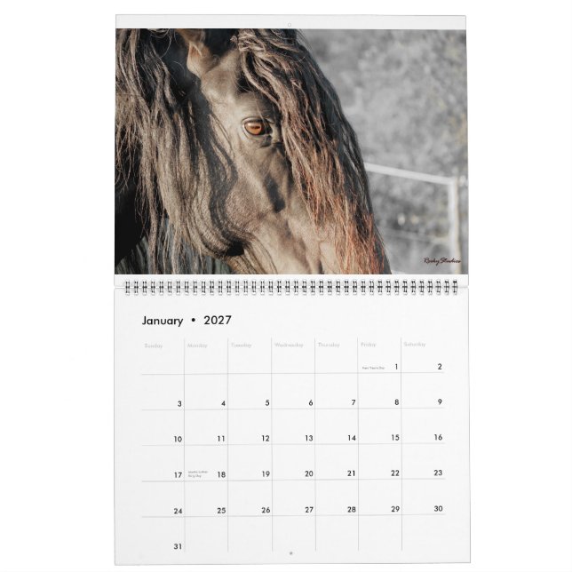 Calendário O frisão empluma-se 2015 (Jan 2027)