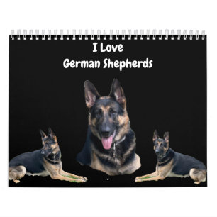 CALENDÁRIO O GERMAN SHEPHERD