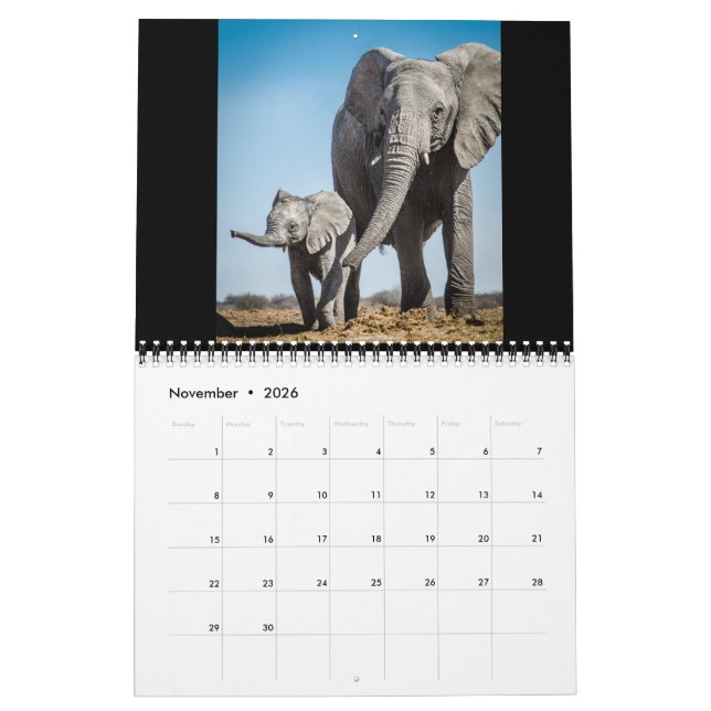 Calendário O Giants o mais pequeno (Nov 2026)