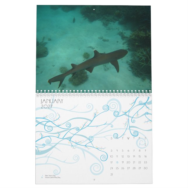 Calendário O grande recife de coral, Austrália (Jan 2027)