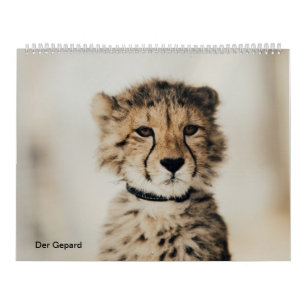 Calendário O guepardo
