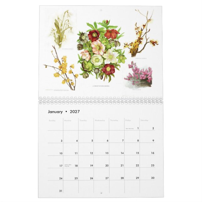 Calendário O jardim 2015 (Jan 2027)