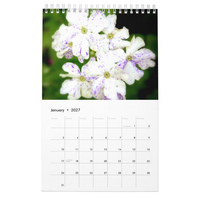 Calendário O jardim roxo 2015 (Jan 2027)