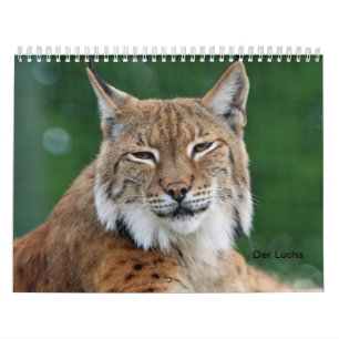 Calendário O lince