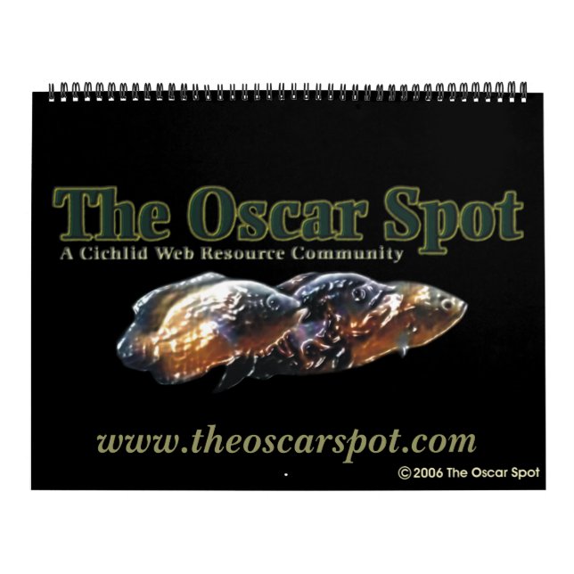 Calendário O local do Oscar (Capa)