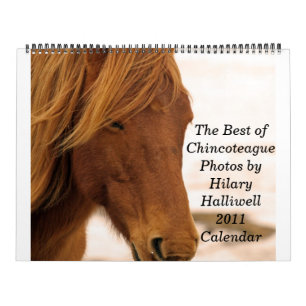 Calendário O melhor de ChincoteaguePhotos por Hilar…
