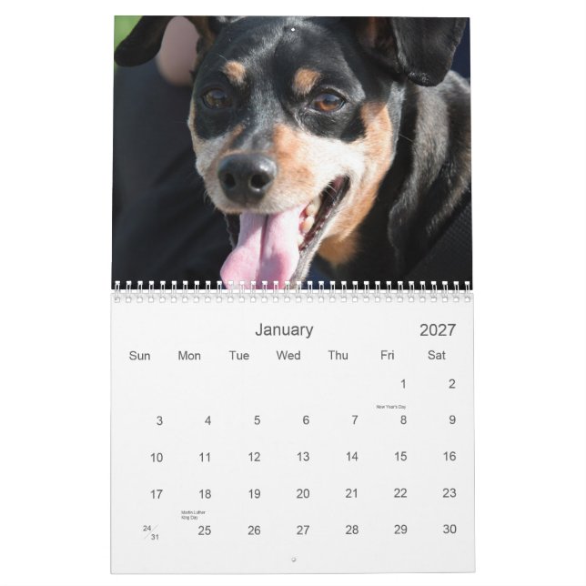 Calendário O minuto fixa 2013 (Jan 2027)
