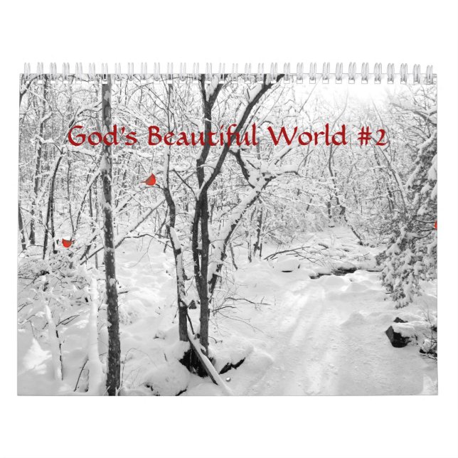Calendário O Mundo Bonito de Deus #2 (Capa)