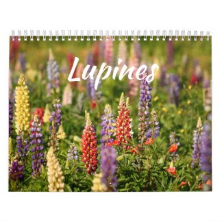 Calendário O Mundo das Lupinas