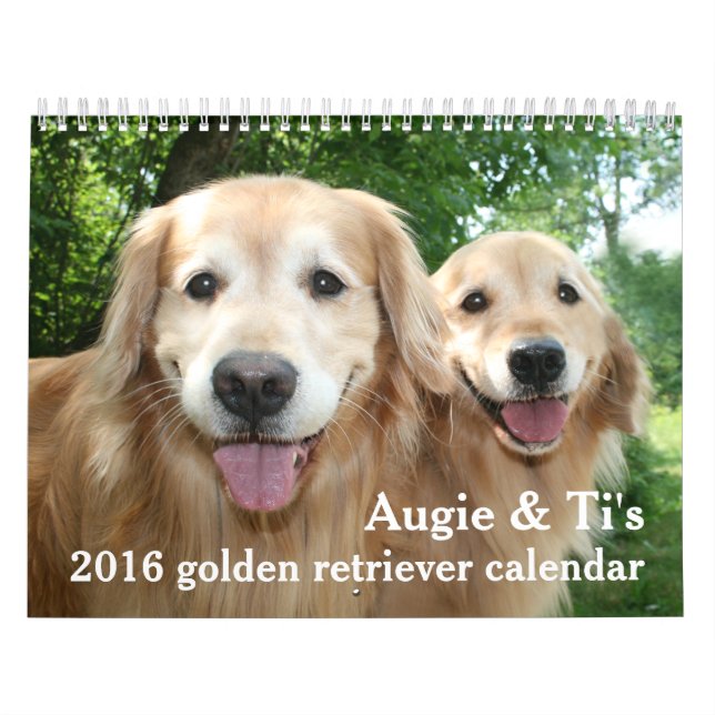 Calendário O Ouro de Augie e Ti de 2016 - Cão do Retriever (Capa)