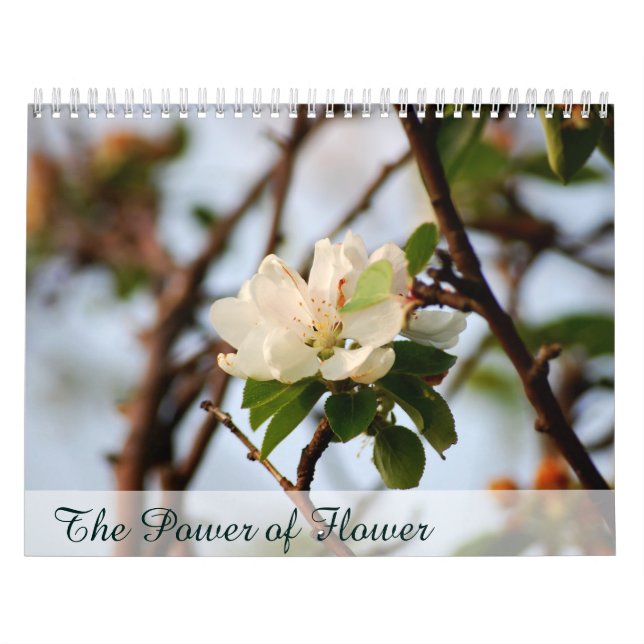 Calendário O poder da flor (Capa)