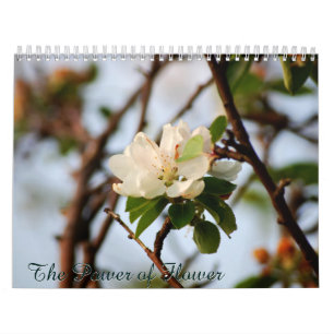Calendário O Poder da Flor