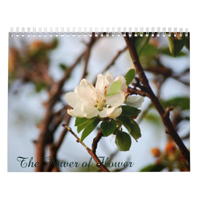 Calendário O Poder da Flor (Capa)