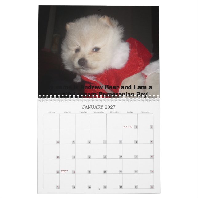 Calendário O Pomeranian de Carma (Jan 2027)