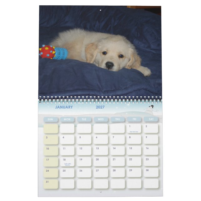 Calendário O primeiro ano de Kosmo (Jan 2027)